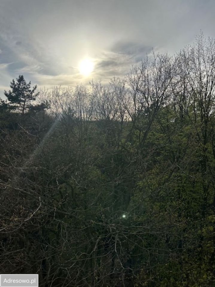 Mieszkanie 2-pokojowe Sopot Kamienny Potok, ul. Kujawska. Zdjęcie 9