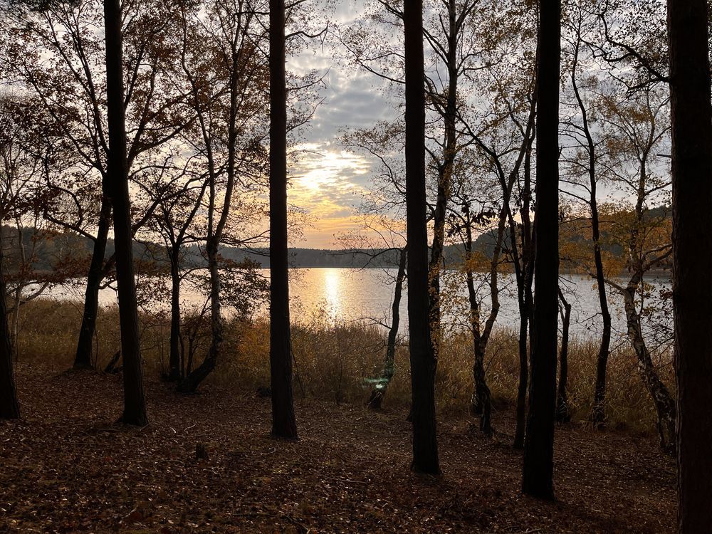 Działka budowlana Radomierz. Zdjęcie 4