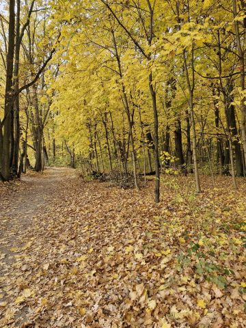 dom wolnostojący, 5 pokoi Kępa Polska. Zdjęcie 8
