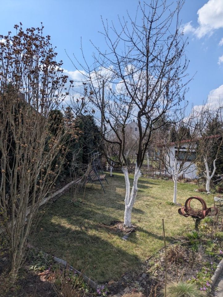 Działka rod Zabrze Mikulczyce, ul. Bytomskich Strzelców. Zdjęcie 8