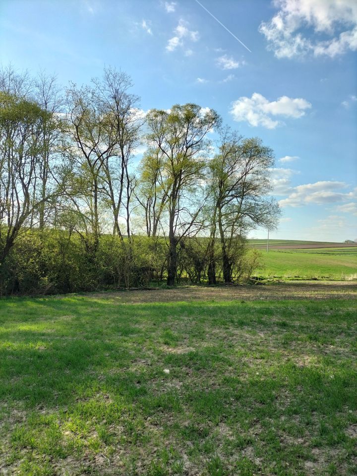 Działka rolna Kościejów, droga po działce 682. Zdjęcie 10