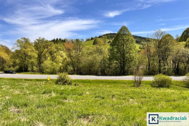 Działka rolna Hoszów. Zdjęcie 5