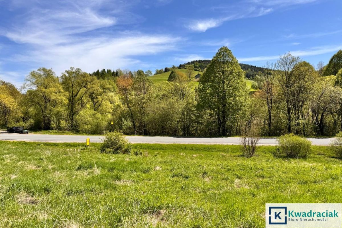 Działka rolna Hoszów. Zdjęcie 5