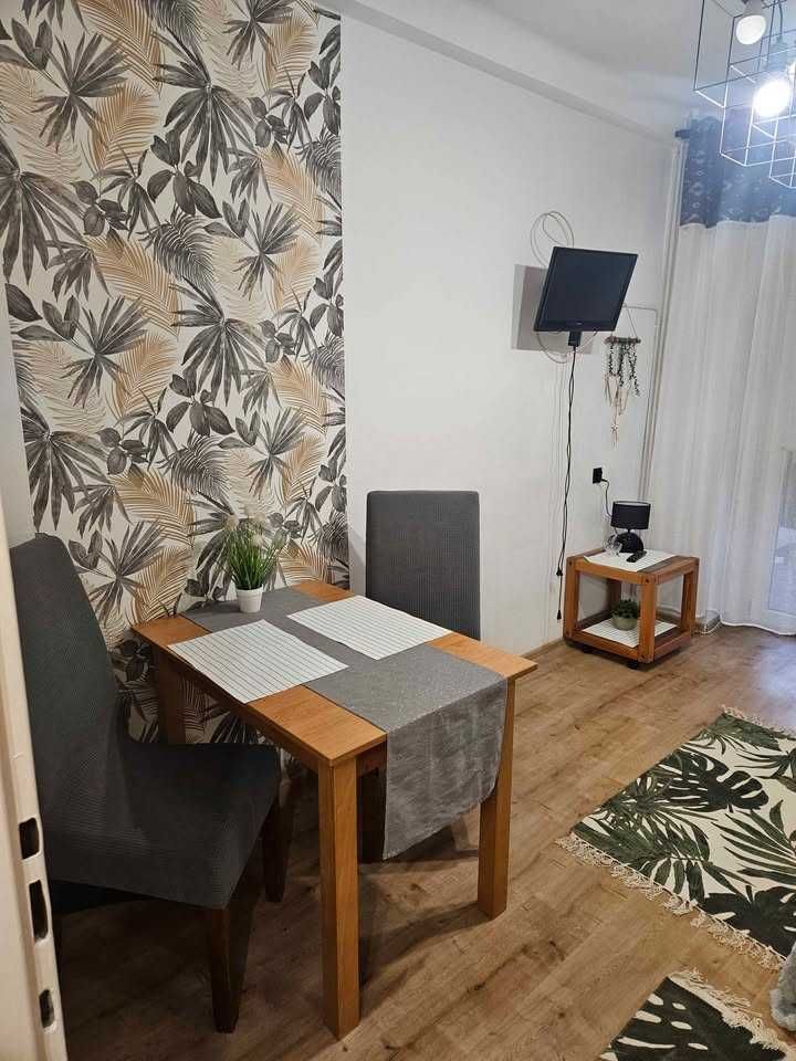 Mieszkanie 1-pokojowe Kościelisko, ul. Nędzy Kubińca. Zdjęcie 7