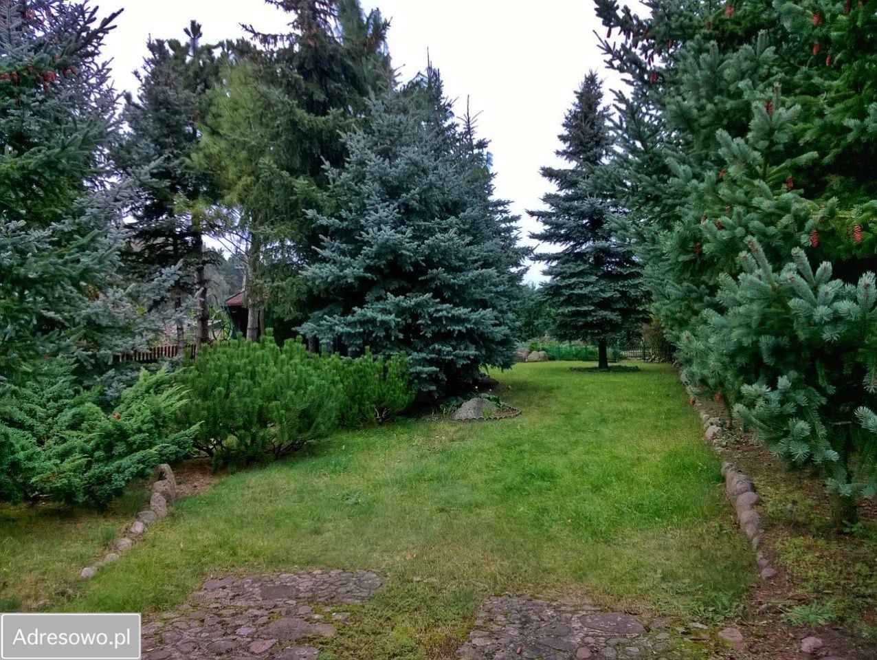 Działka rekreacyjna Grodzisko. Zdjęcie 10