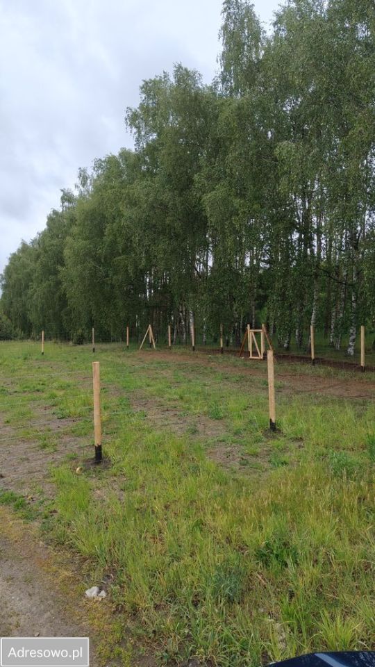 Działka budowlana Siedlec, ul. Przylesie. Zdjęcie 13