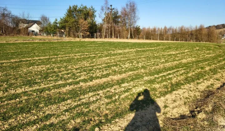 Działka budowlana Mszalnica