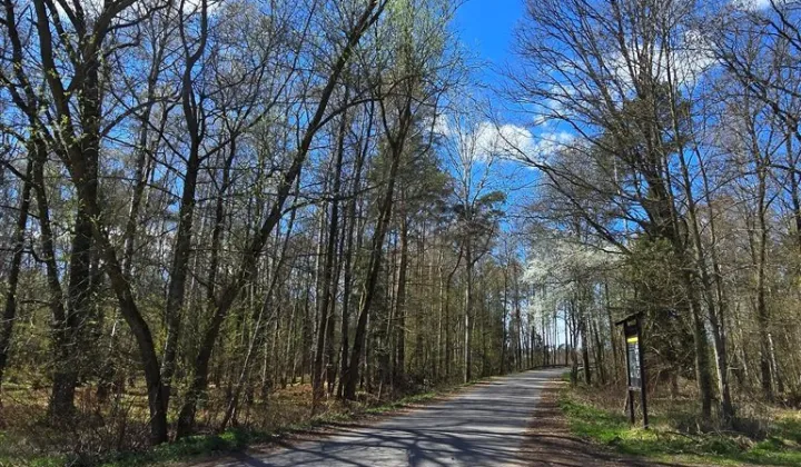 Działka budowlana Lędziny, ul. Zamoście
