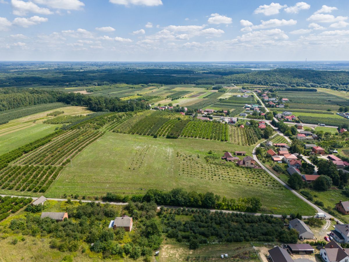 dom wolnostojący, 6 pokoi Skrzypaczowice. Zdjęcie 30