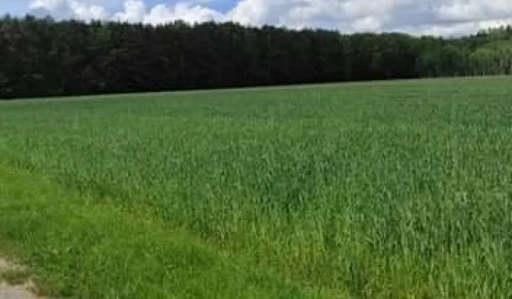 Działka budowlana Tłuściec