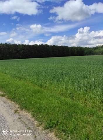 Działka budowlana Tłuściec