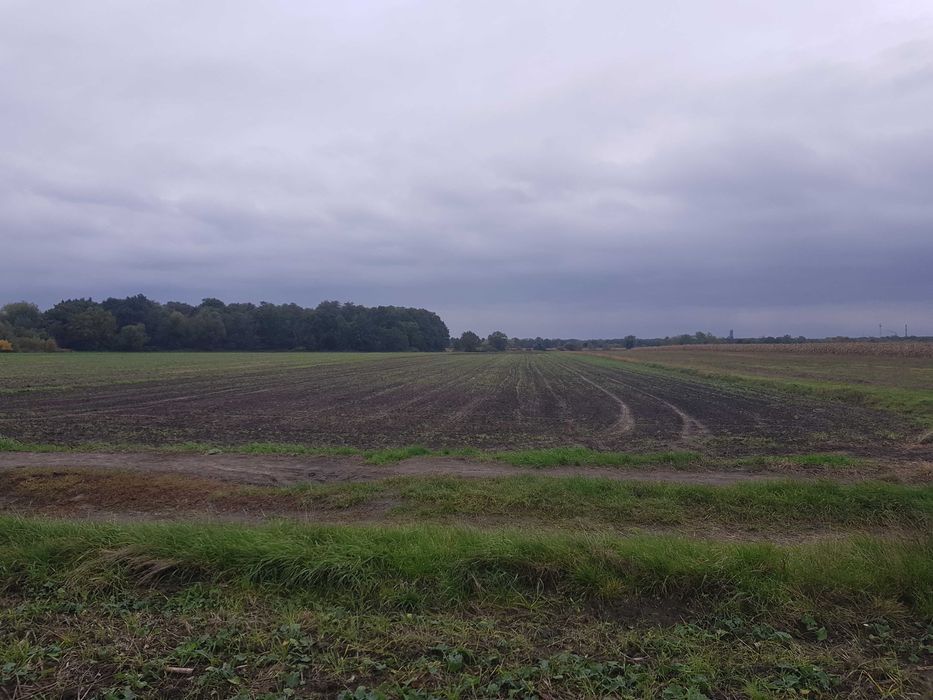 Działka rolna Wrocław Pawłowice