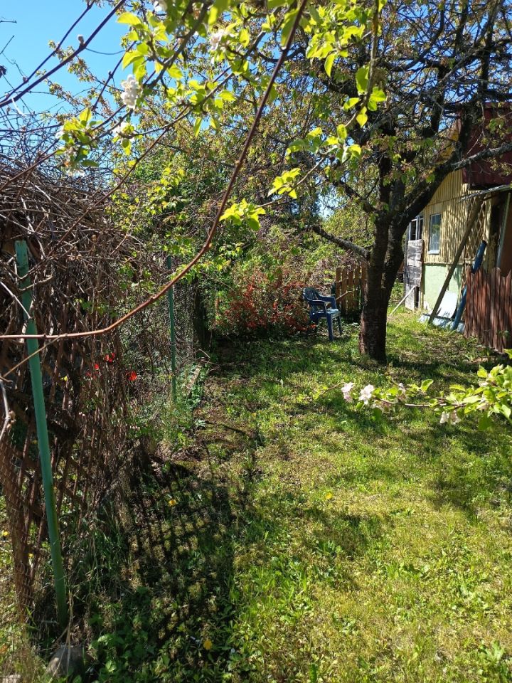 Działka rekreacyjna Tarnobrzeg Przywiśle, ul. Wałowa. Zdjęcie 9