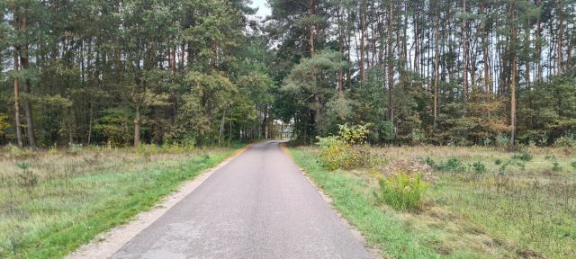 Działka budowlana Pogorzałe Ługi. Zdjęcie 6