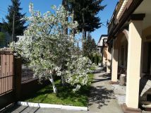 dom wolnostojący Pabianice. Zdjęcie 4