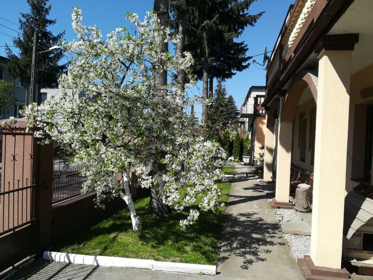 dom wolnostojący Pabianice. Zdjęcie 5