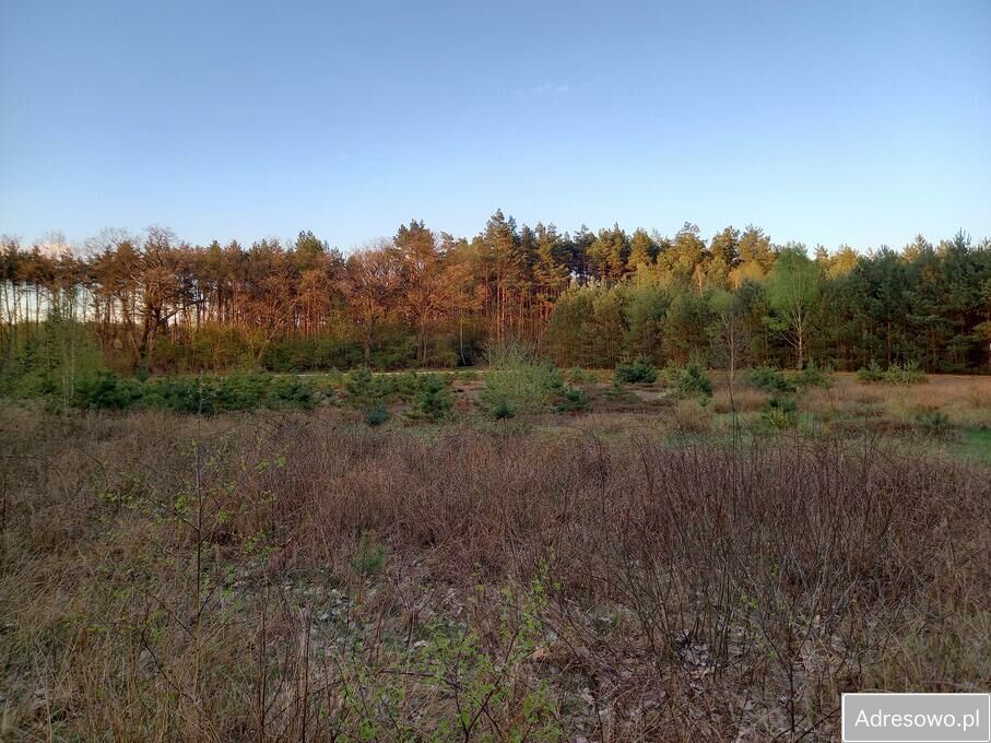 Działka inwestycyjna Kąty Czernickie. Zdjęcie 9