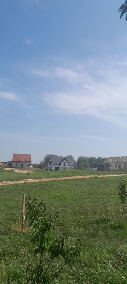 Działka rolna Lubiewo. Zdjęcie 6