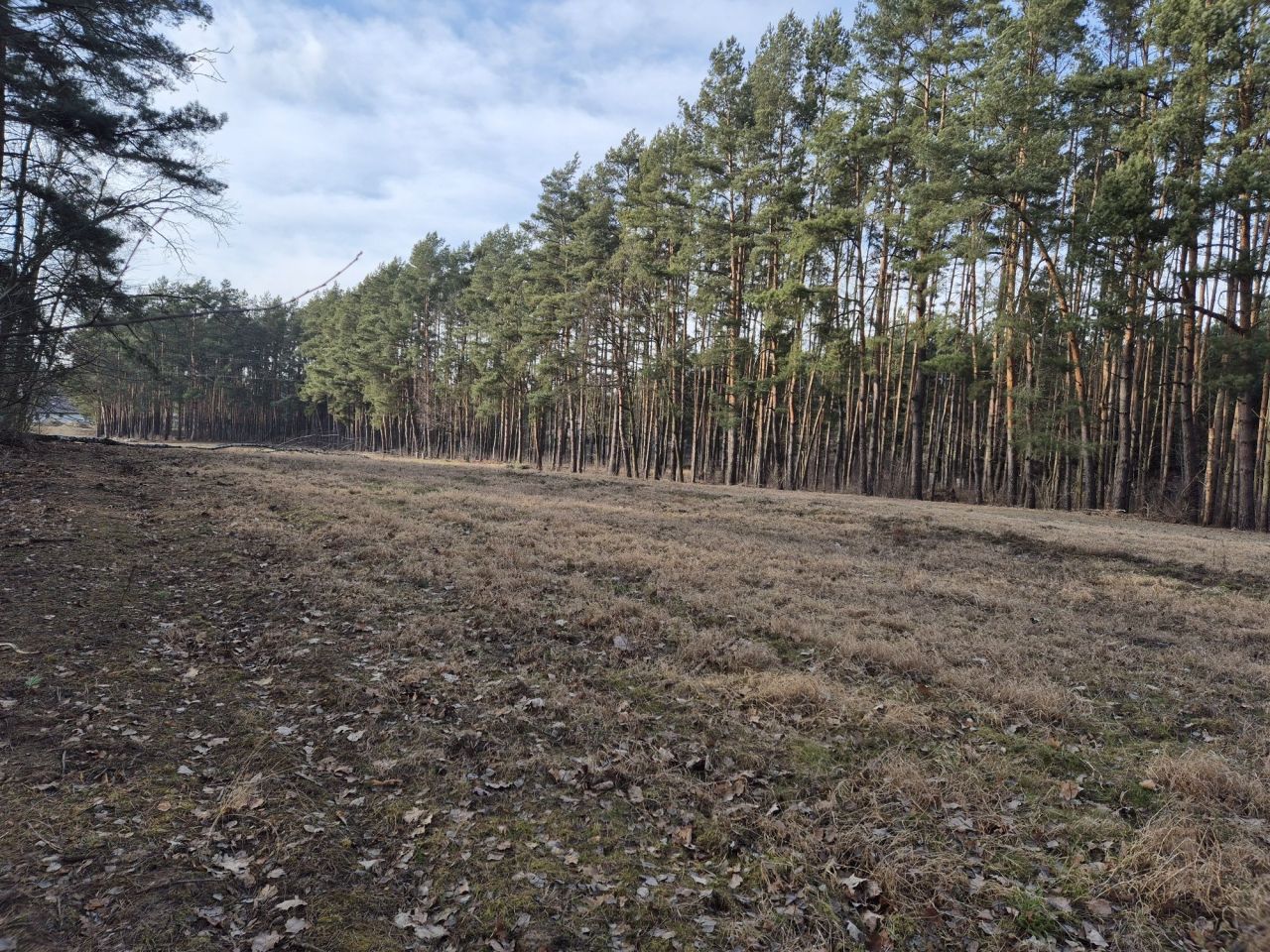 Działka budowlana Wólka, ul. Wiśniowa. Zdjęcie 6