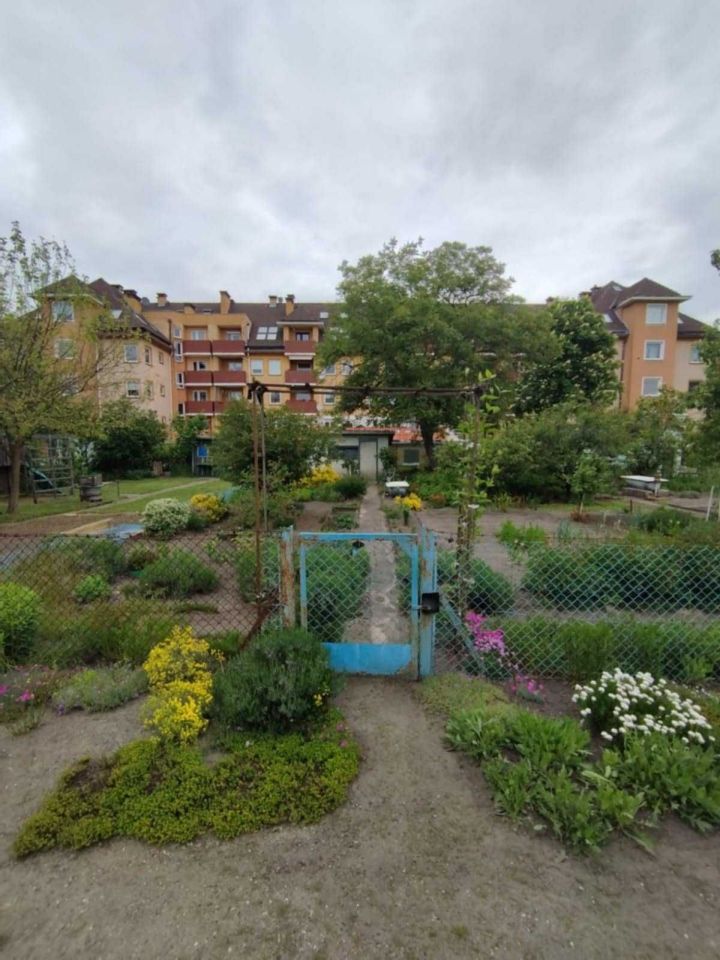 Działka rod Wrocław Śródmieście. Zdjęcie 5