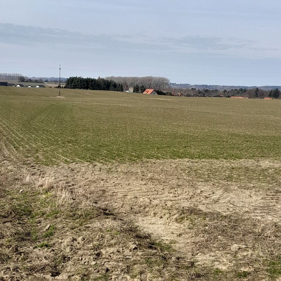 Działka siedliskowa Gniewino, ul. Słoneczna. Zdjęcie 2