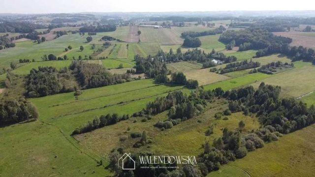 Działka rolna Gowidlino. Zdjęcie 7