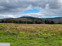 Działka budowlana Grzechynia Grzechynia Dolna. Zdjęcie 2