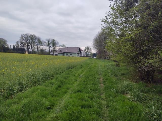 Działka siedliskowa Pruchna. Zdjęcie 5