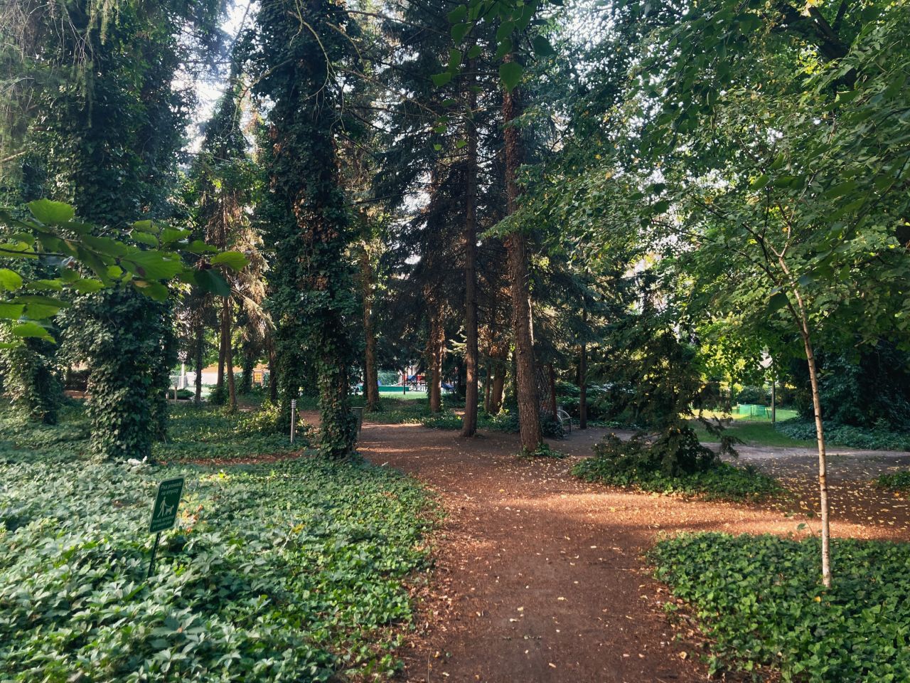 Mieszkanie 2-pokojowe Pruszków Centrum, ul. Komorowska. Zdjęcie 14