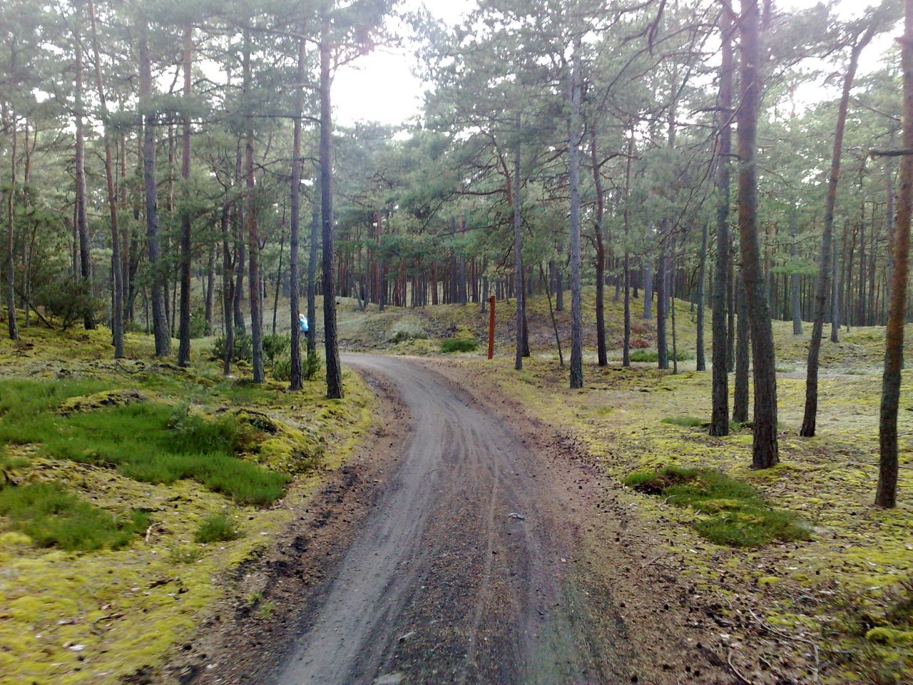 Działka budowlana Lubiatowo, ul. Ogrodowa. Zdjęcie 3