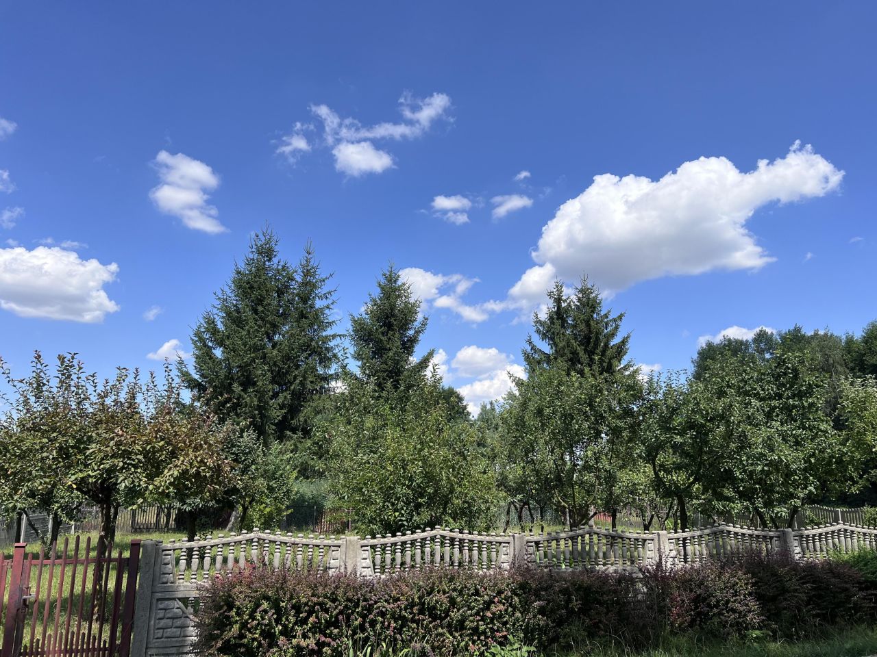 Działka rekreacyjna Ciepielów-Kolonia Ciepielów Drugi. Zdjęcie 6