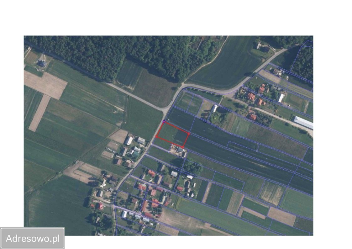Działka inwestycyjna Podlesie. Zdjęcie 3