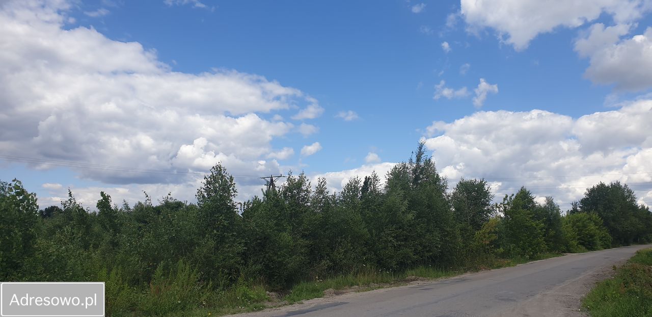 Działka inwestycyjna Serniki. Zdjęcie 11