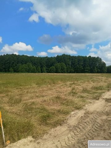 Działka rolna Jerzwałd. Zdjęcie 1