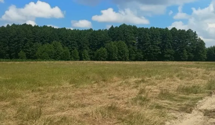 Działka rolna Jerzwałd