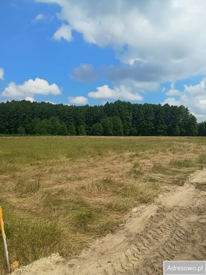 Działka rolna Jerzwałd. Zdjęcie 1