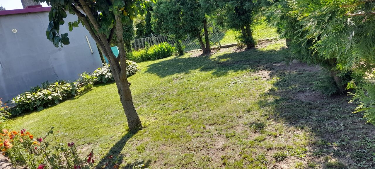 Działka rod Gniezno, ul. Powstańców Wlkp.. Zdjęcie 4