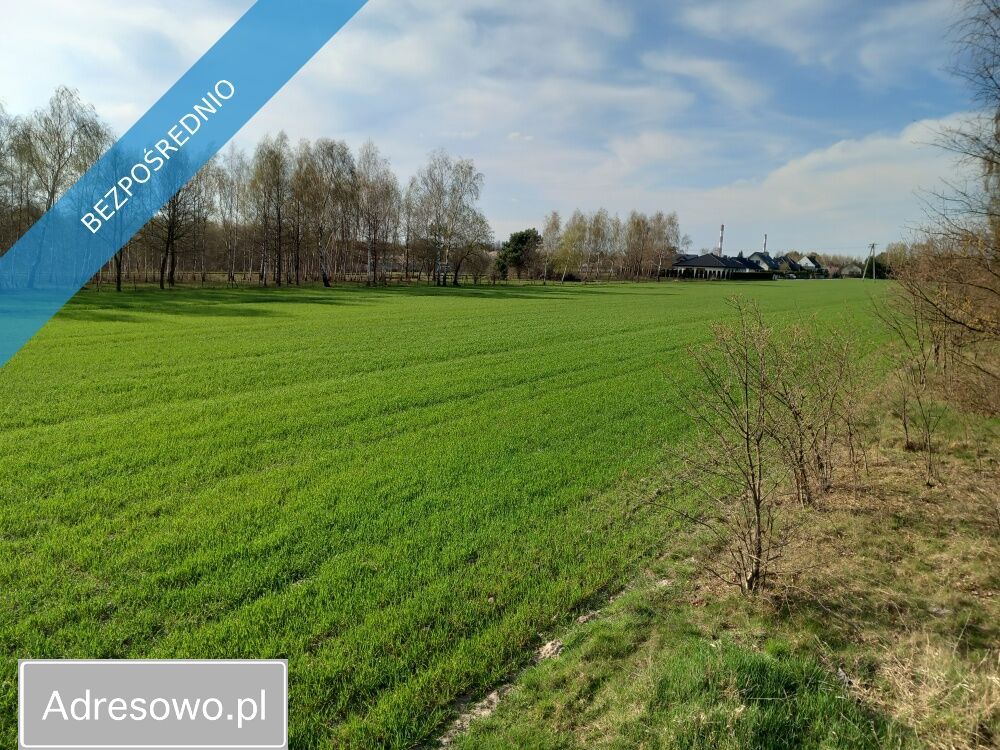 Działka rolno-budowlana Łódź Górna. Zdjęcie 11