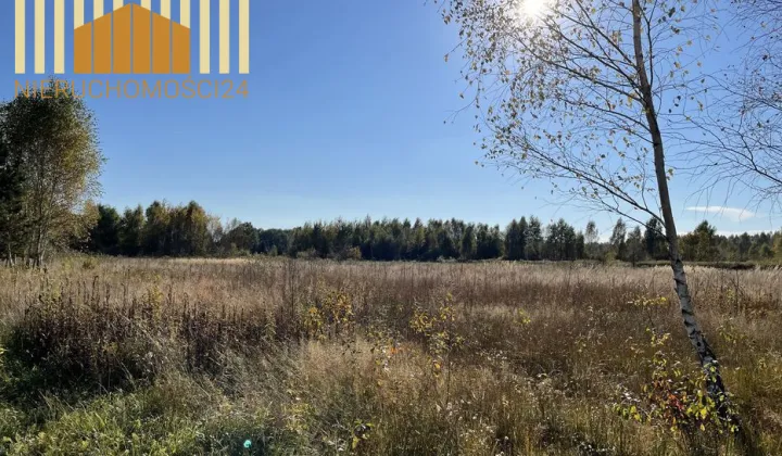 Działka inwestycyjna Anielew