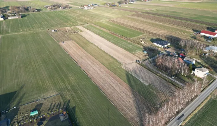 Działka budowlana Skrzynice-Kolonia