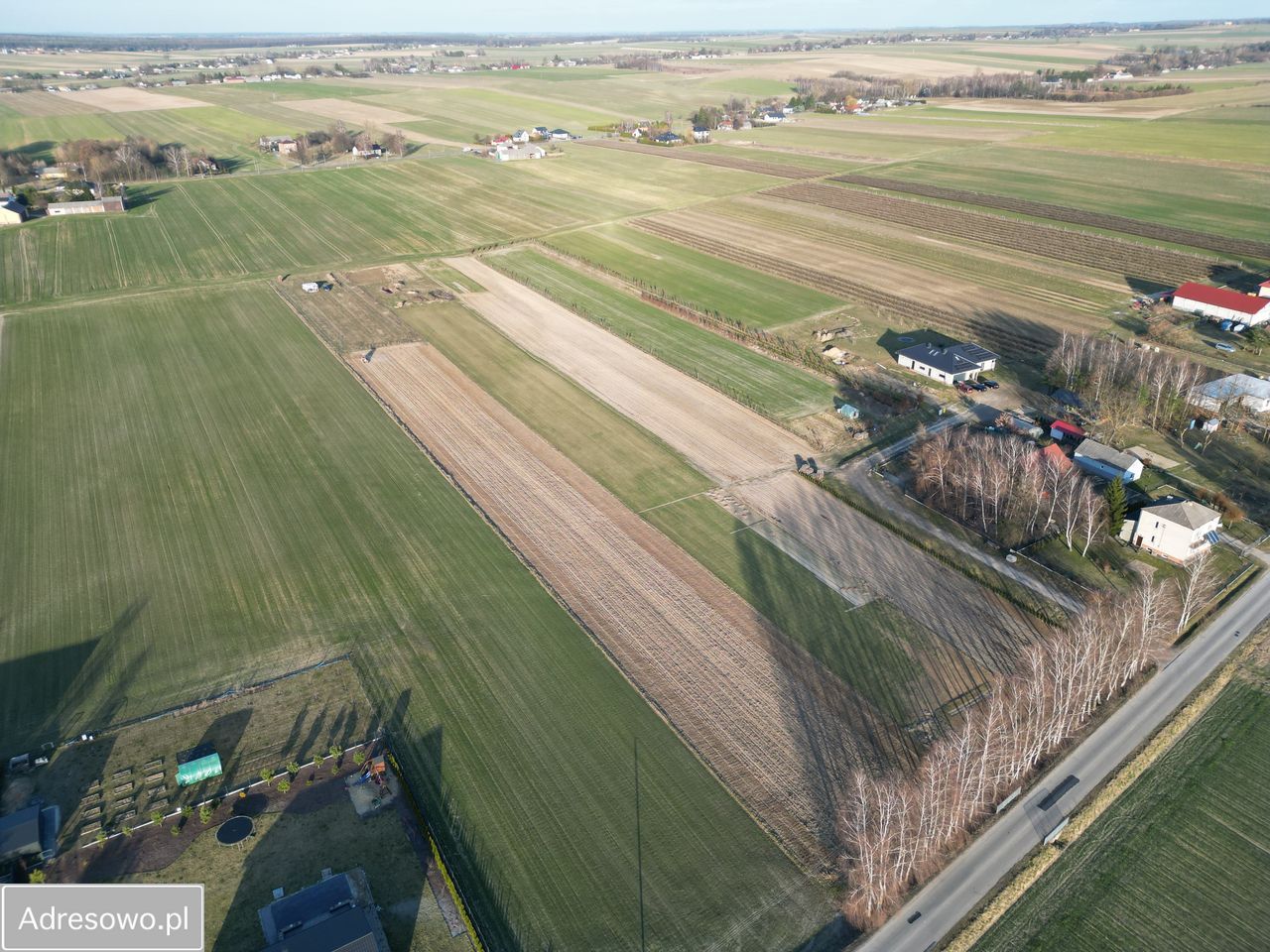 Działka budowlana Skrzynice-Kolonia. Zdjęcie 1