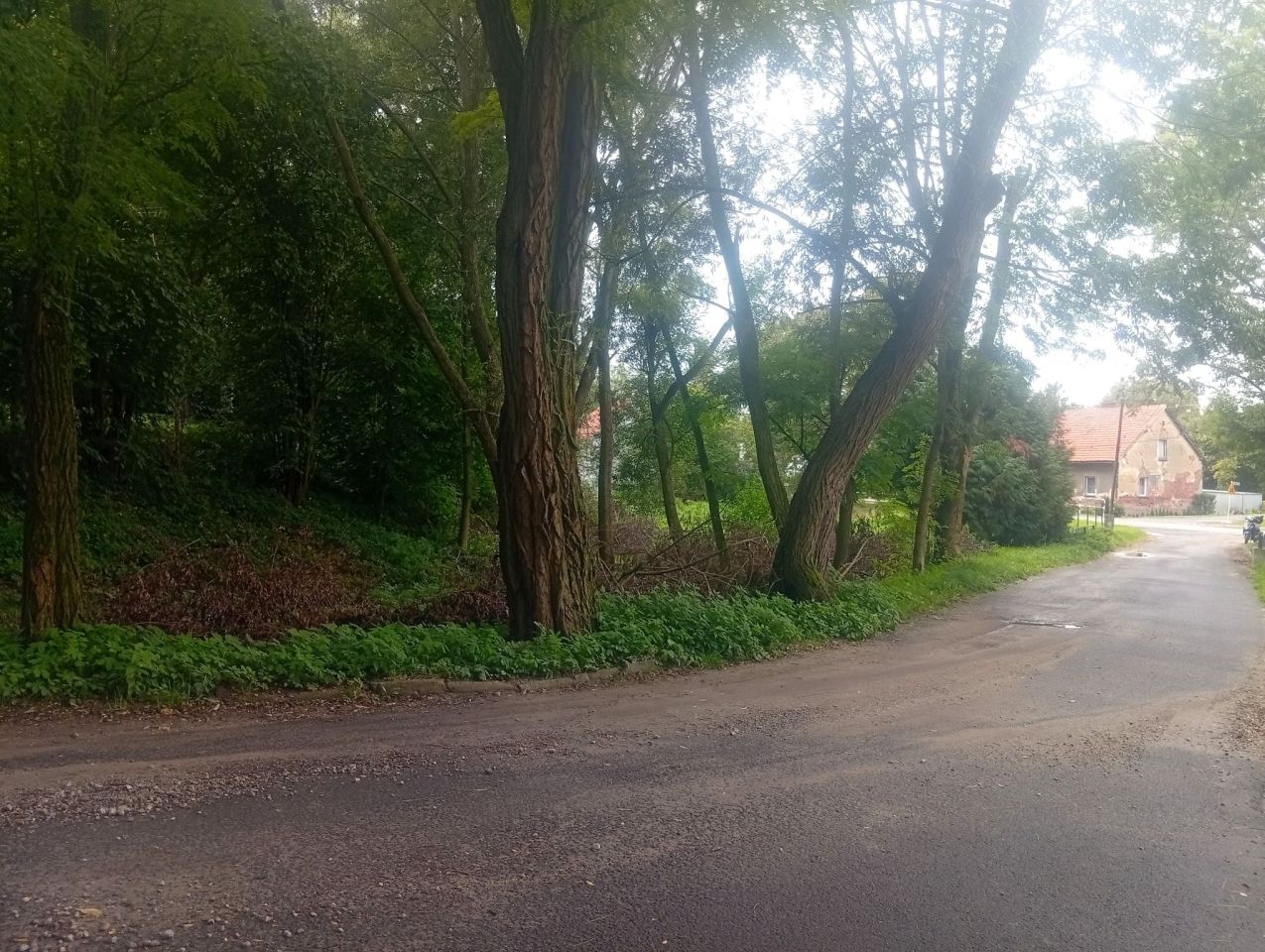Działka budowlana Kuraszków. Zdjęcie 2