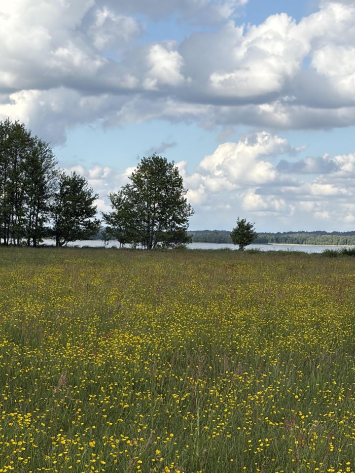 Działka rolna Kruszyn. Zdjęcie 13