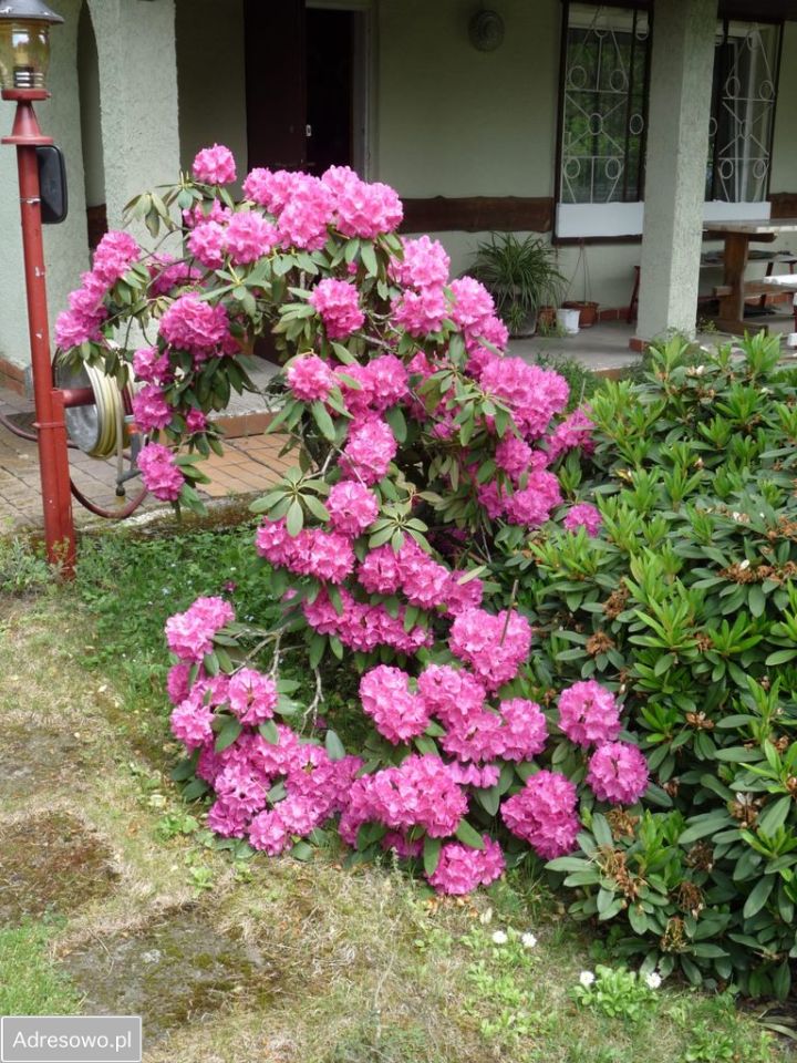 Działka rod Otowo. Zdjęcie 19