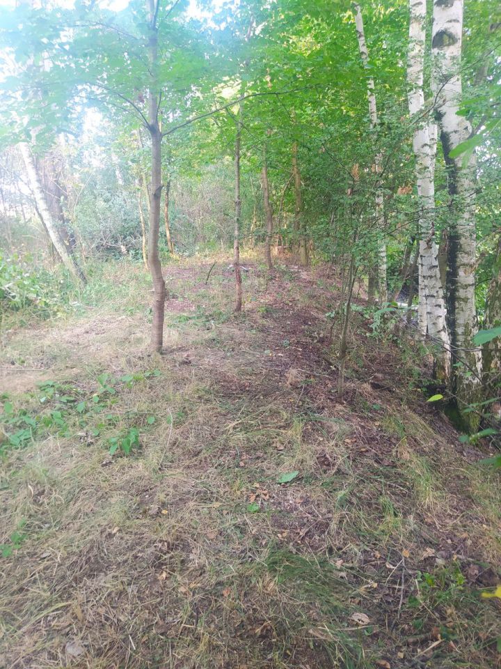 Działka budowlana Pęczelice. Zdjęcie 13