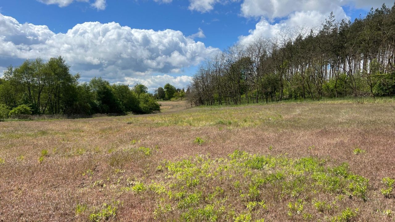 Działka rolno-budowlana Lisie Kąty. Zdjęcie 4