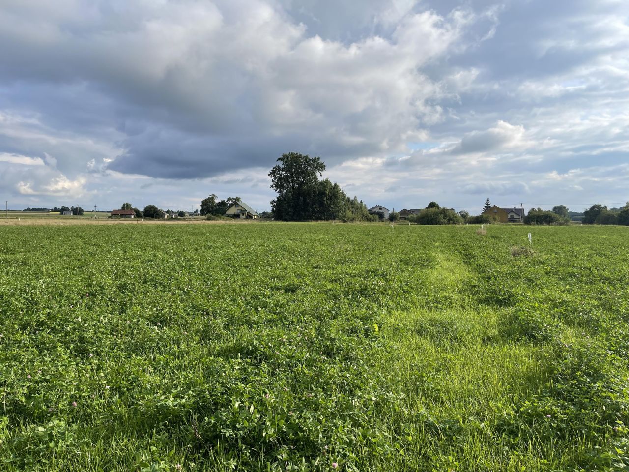 Działka budowlana Samorządki-Kolonia. Zdjęcie 6