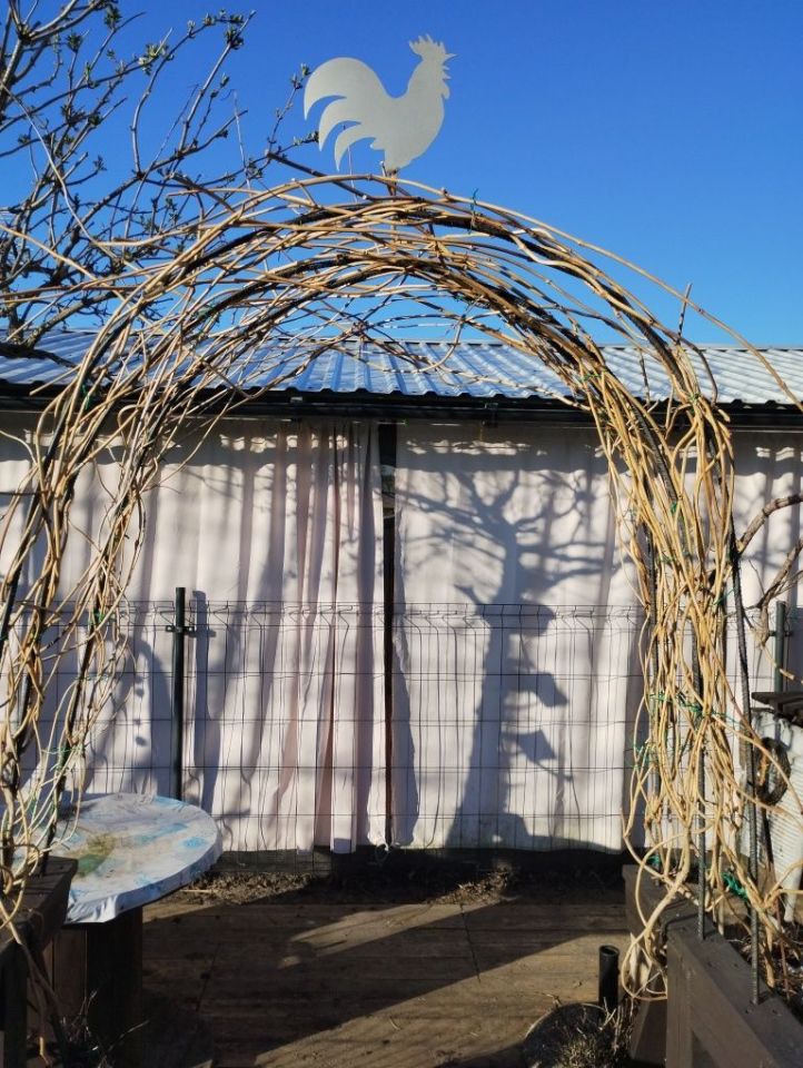 Działka rod Kamienica. Zdjęcie 7