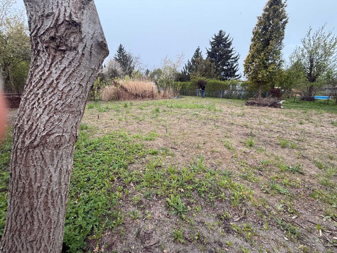 Działka rod Warszawa Rembertów. Zdjęcie 6
