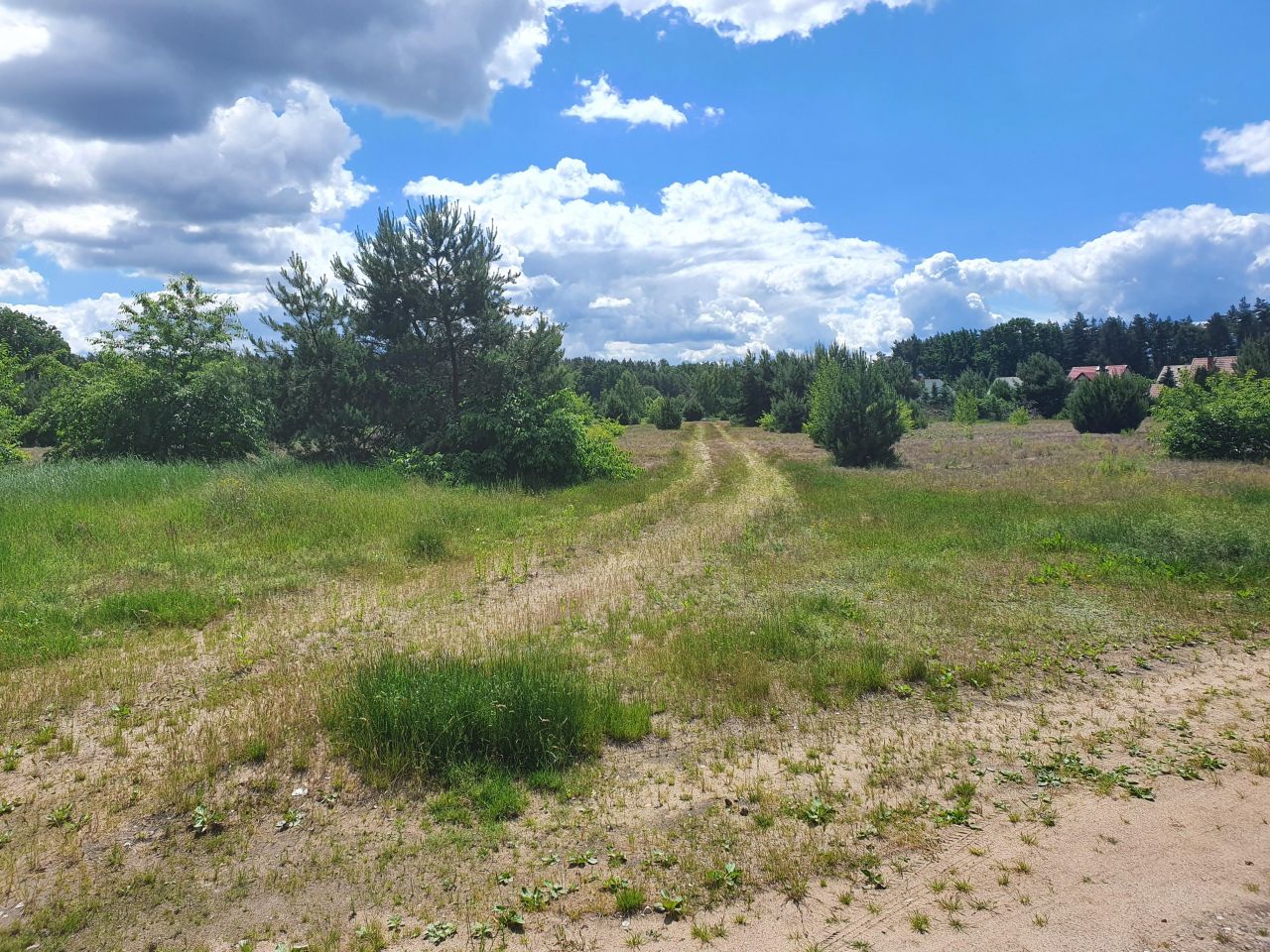 Działka budowlana Kępa Niemojewska. Zdjęcie 3